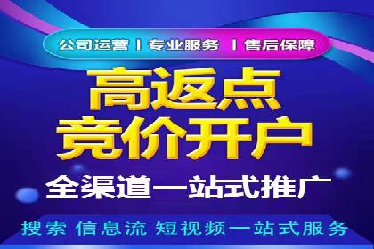 专业网站SEM托管服务案例展示